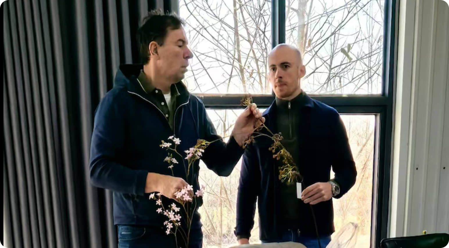 Hersteller künstlicher grüner Wände