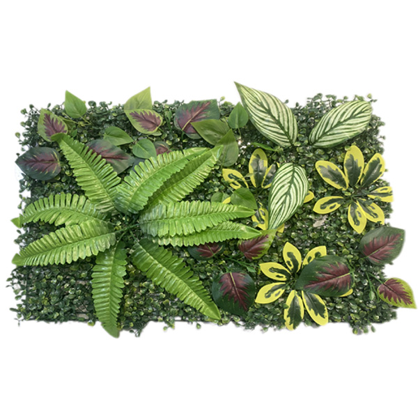 Planta Colgante Manojo De Batata Americana De Hoja