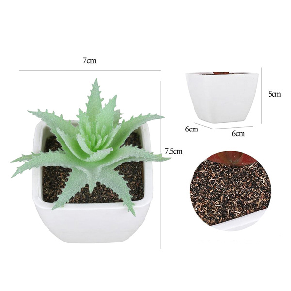 flocado material duro aloe vera pequeño cuadrado maceta de plástico