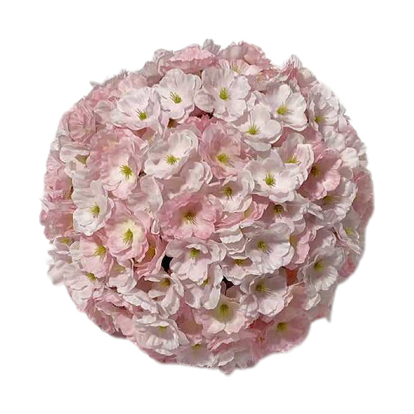 Rosa Kirschblüte