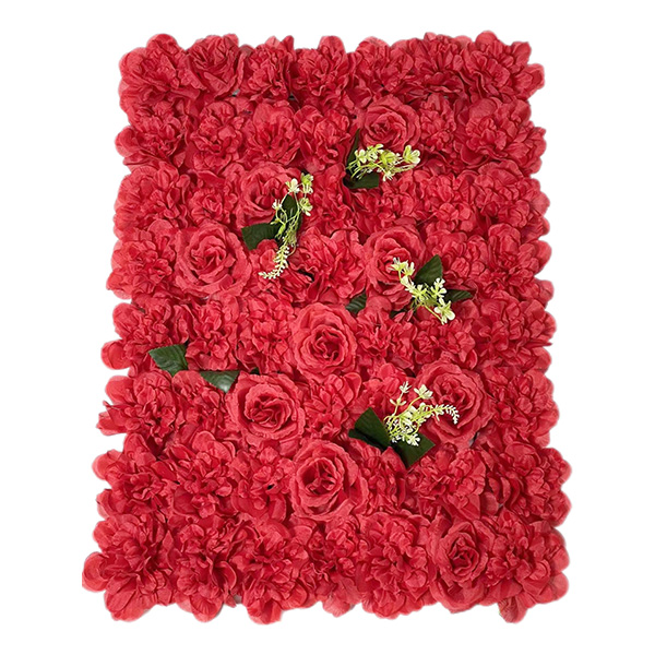 Rote Rose Dahlia Wall