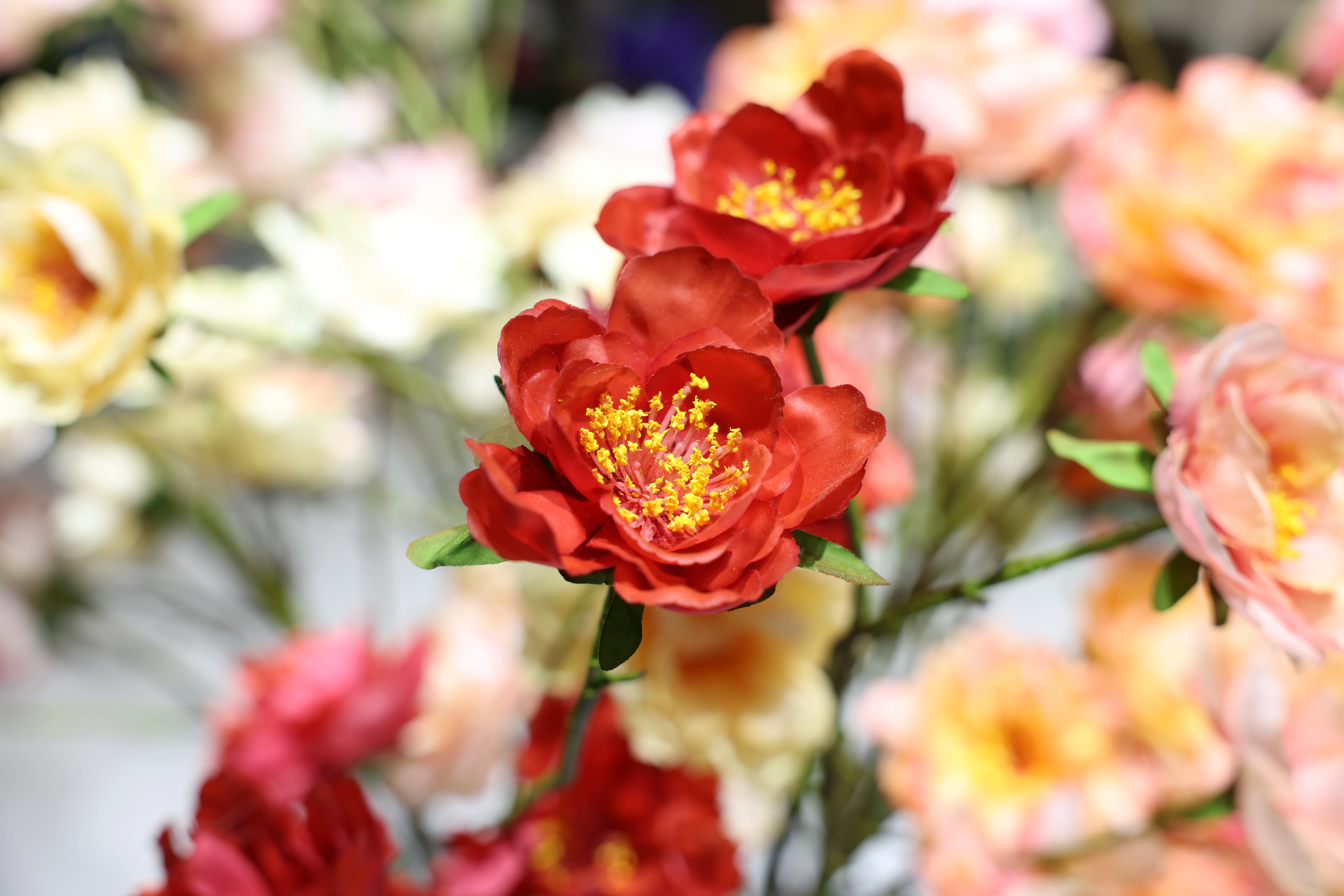 Por qué las flores artificiales están en auge en EE.UU. en 2025: Diseño, datos y elegancia sin mantenimiento