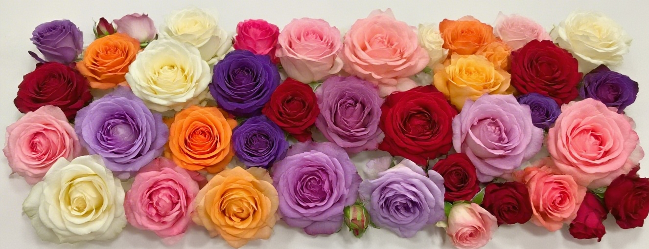 Las rosas a través del tiempo: Exploración de las variedades, el simbolismo y la belleza de las rosas artificiales