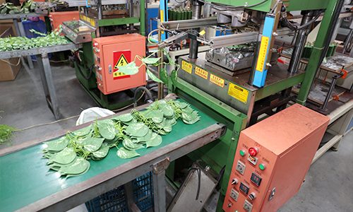 Tir à l'os Entreprise de fleurs artificielles